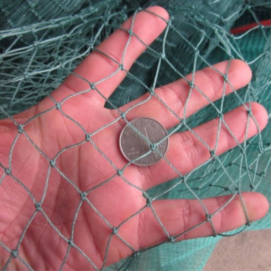 Net de pêche en PE vert tressé de bonne qualité